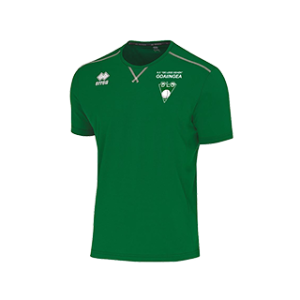 KF De Lege Geaen Everton shirt groen