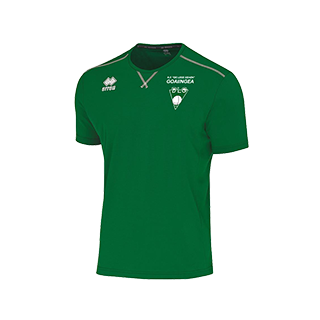 KF De Lege Geaen Everton shirt groen