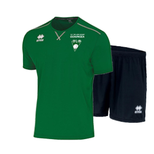 Kit Everton New Skin DLG